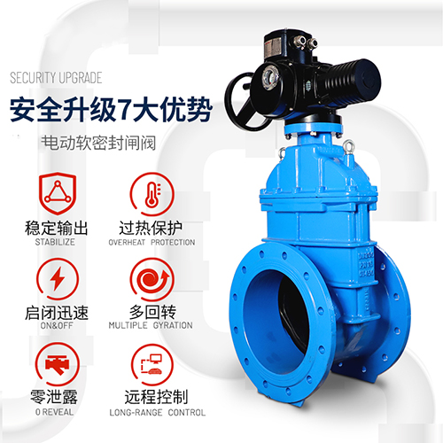 Z945X弹性座封闸阀